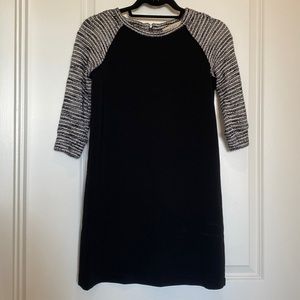 LOFT 00P B&W Shift Dress 🖤🤍